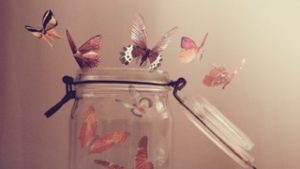 Butterflies in Jar