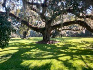 The Mystery of Death Retreat at Mepkin Abbey