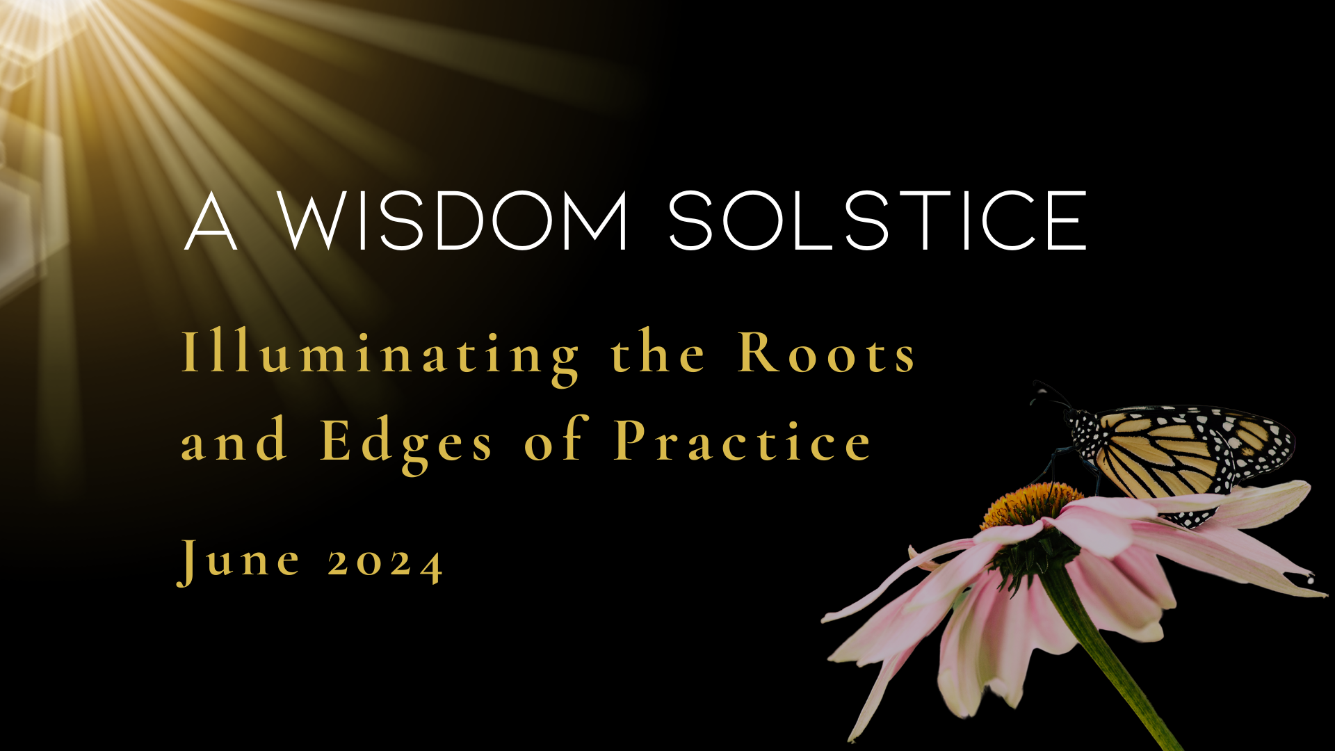 Wisdom Solstice Pause June 2024 Event Recording Wisdom Waypoints