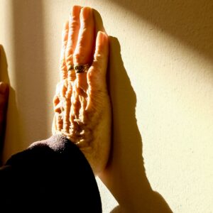 Conscious Aging on the Wisdom Path Wisdom Circle November 2026